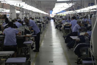 探秘大楊集團最新智能化工廠 全球一流“大連造”背后的產(chǎn)業(yè)升級密碼